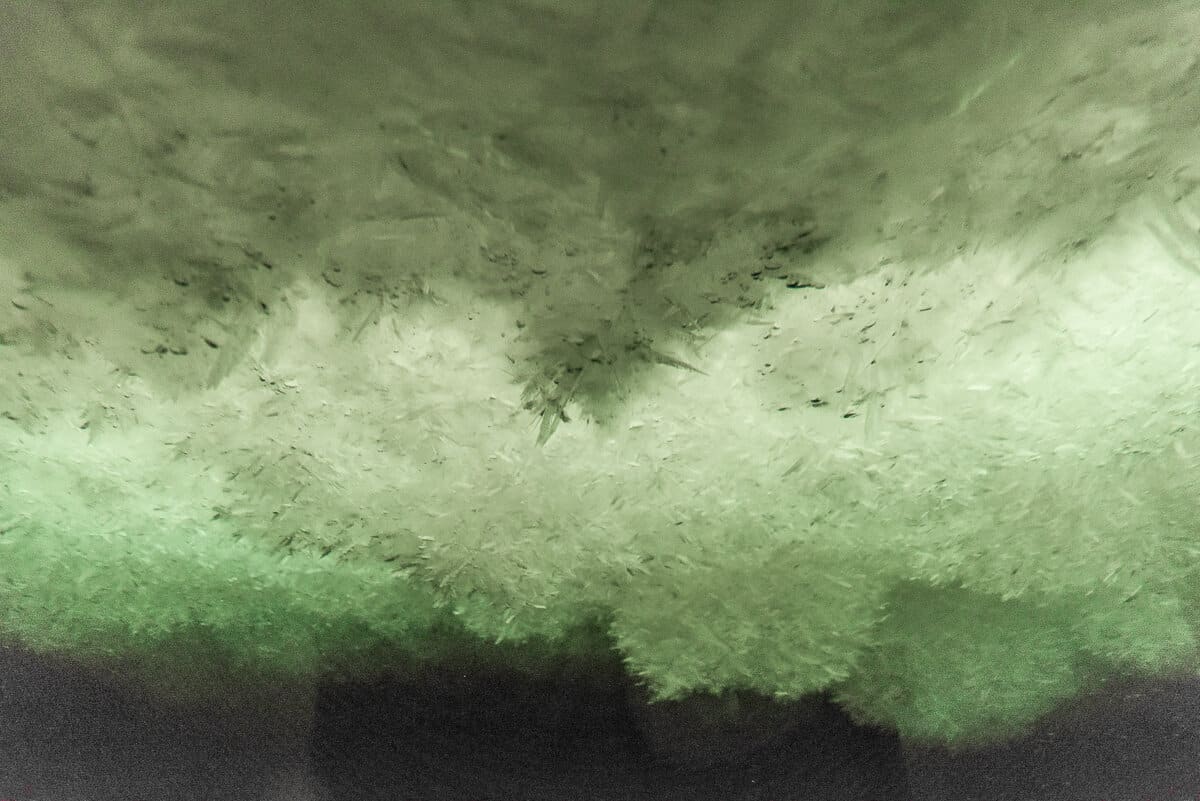 Сростки ледяных кристаллов (шуга), образовавшиеся в результате «перевернутого снегопада» подо льдом антарктических морей.