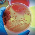 100 вопросов ученому: микробиология