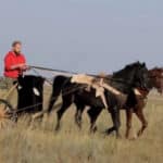 Синташтинская культура. Древнейшая колесница мира, найденная на Урале