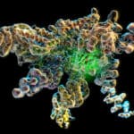 Биоинформатики избавились от лишнего шага в анализе стабильности белков