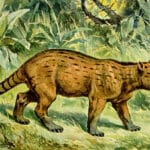 Древние млекопитающие жили быстро и умирали молодыми, но это могло стать причиной их эволюционного успеха