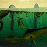 Массовое вымирание от удушья отменяется: ученые «спасли» Мировой океан