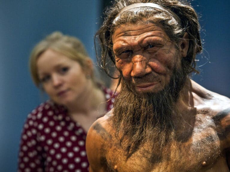 Модель неандертальца на выставке в Лондоне, 2014 год