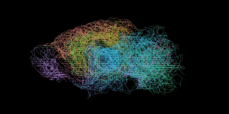 Сгенерированная сеть соединений повторяет нейронные структуры в мозге реальной мыши