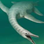 Палеонтологи описали морского ящера со змеиной шеей и крокодильей головой