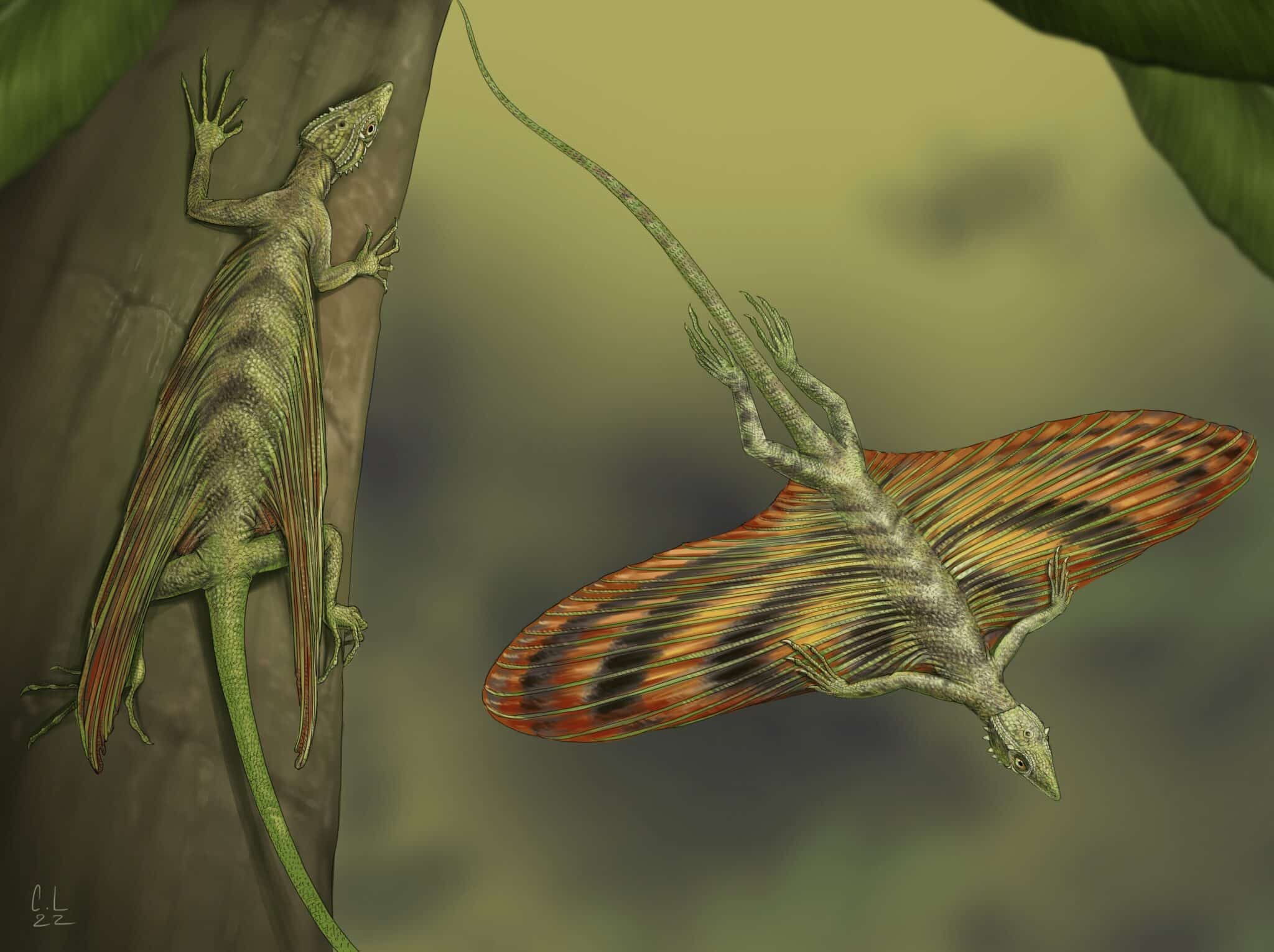 Как изменившиеся леса заставили рептилий подняться в воздух