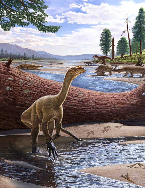 В Зимбабве обнаружили древнейшего африканского динозавра