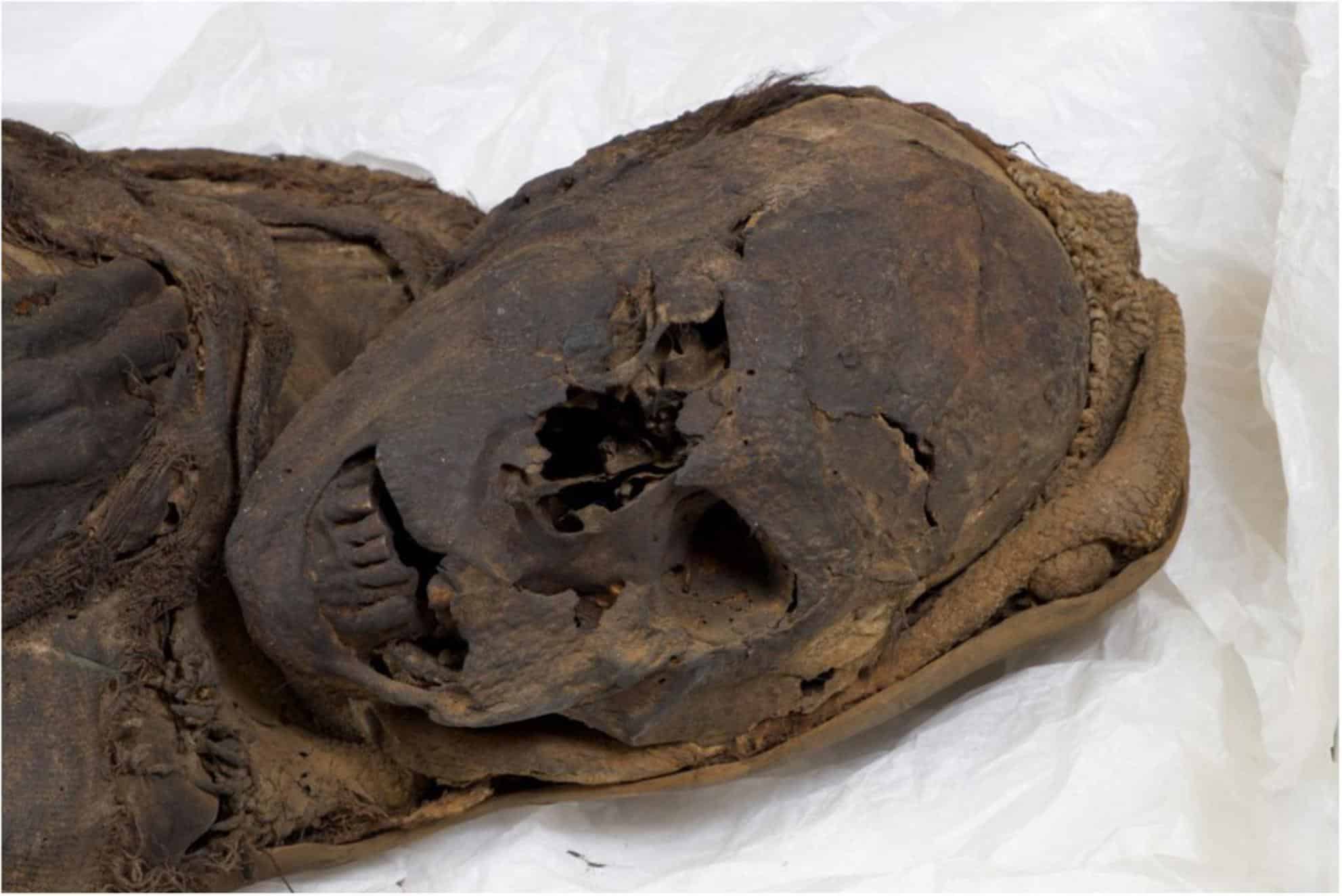 Томография южноамериканских мумий рассказала археологам о подробностях древних убийств
