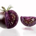 В США разрешили выращивание фиолетовых ГМ-томатов