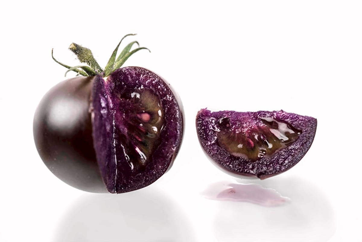 В США разрешили выращивание фиолетовых ГМ-томатов