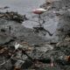 В Эквадоре запустили «плавучие острова», чтобы очистить сверхзагрязненный залив