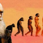 Методологические основы эволюционной теории