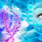 Определяет ли ДНК нашу судьбу?