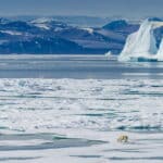 Северный полюс: история поиска