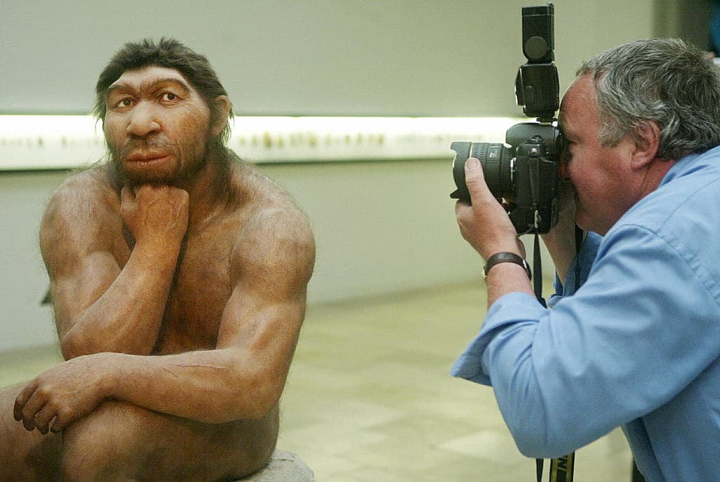 Ученые выяснили, сколько времени у людей современного вида ушло на истребление неандертальцев