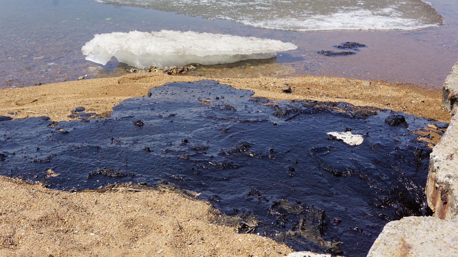 В Пермском Политехе определили «опасную дозу» нефти для почв с помощью микроорганизмов