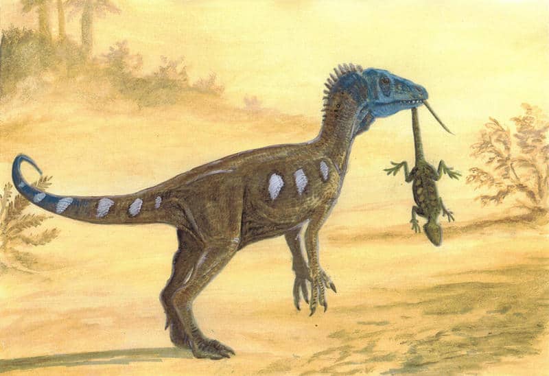 Ученые выяснили, как динозаврам удалось встать на две ноги