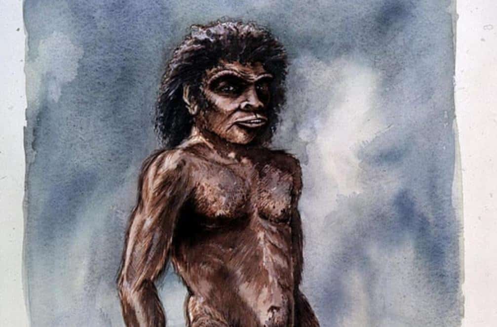 Человек из Боксгроува оказался неандертальцем. Но не совсем