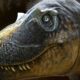 Ученые нашли недостающее звено в эволюции тираннозавров