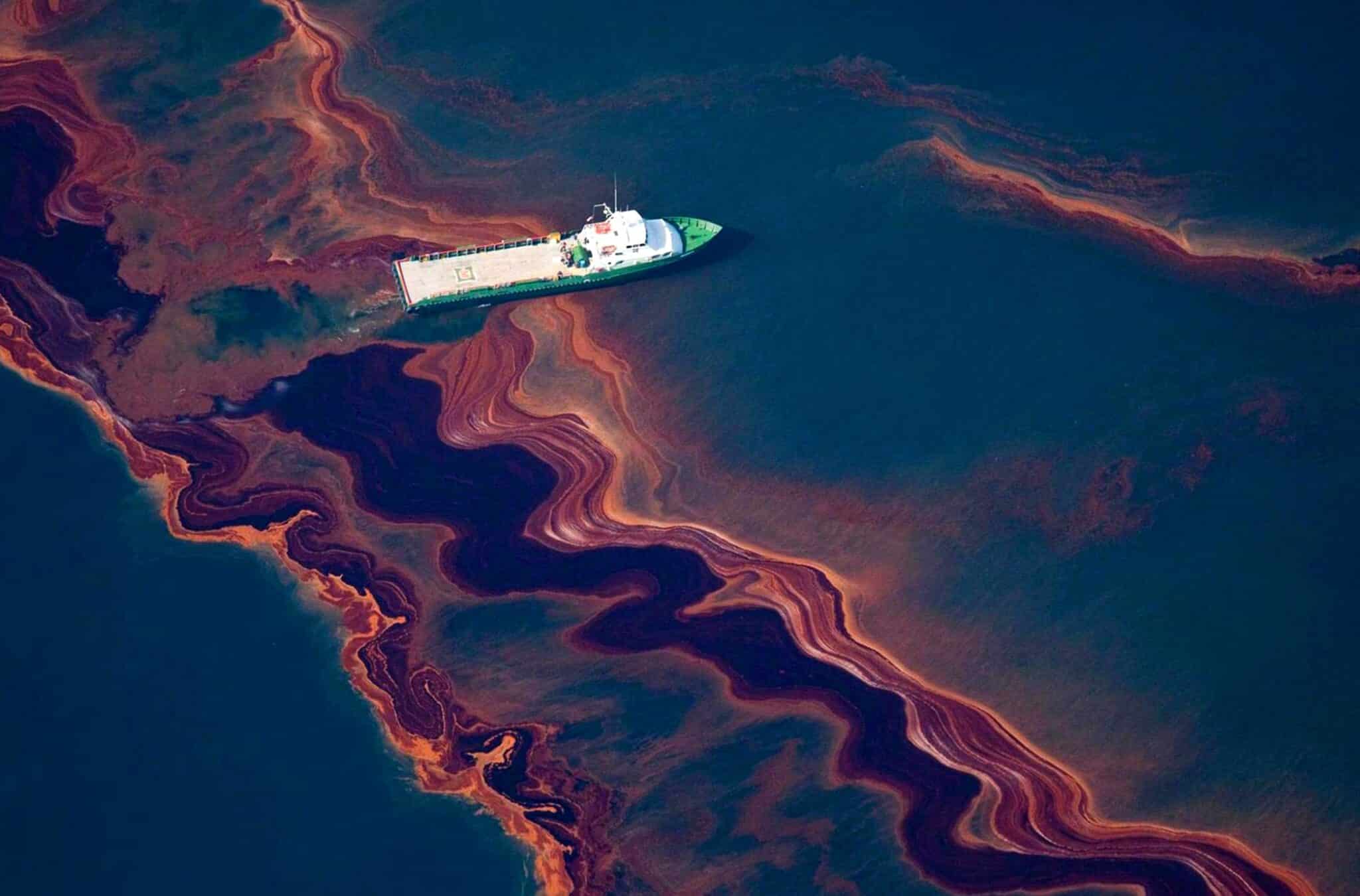 Биологи ТюмГУ узнали о долгосрочных последствиях нефтяного разлива