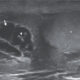 Врачи сняли на видео «танец» червей в мошонке