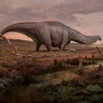 Палеонтологи отменили сверхзвуковые хвосты динозавров