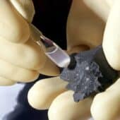Один из фрагментов знаменитого метеорита Мурчисон, в составе которого обнаружили аминокислоты