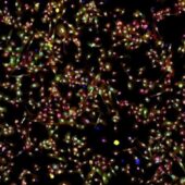 Флуоресцентное изображение клеток рака легкого