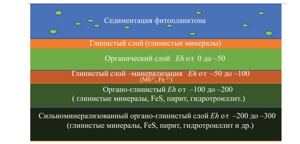 Принципиальная схема буферного геохимического барьера в донных отложениях / ©Пресс-служба КНЦ РАН