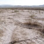 Разработка ученых Пермского Политеха сможет предотвратить засоление почв