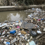 Химики превратили пластиковый мусор в ценное  удобрение