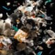 Лабораторные эксперименты подтвердили, что бактерии поглощают и переваривают пластик