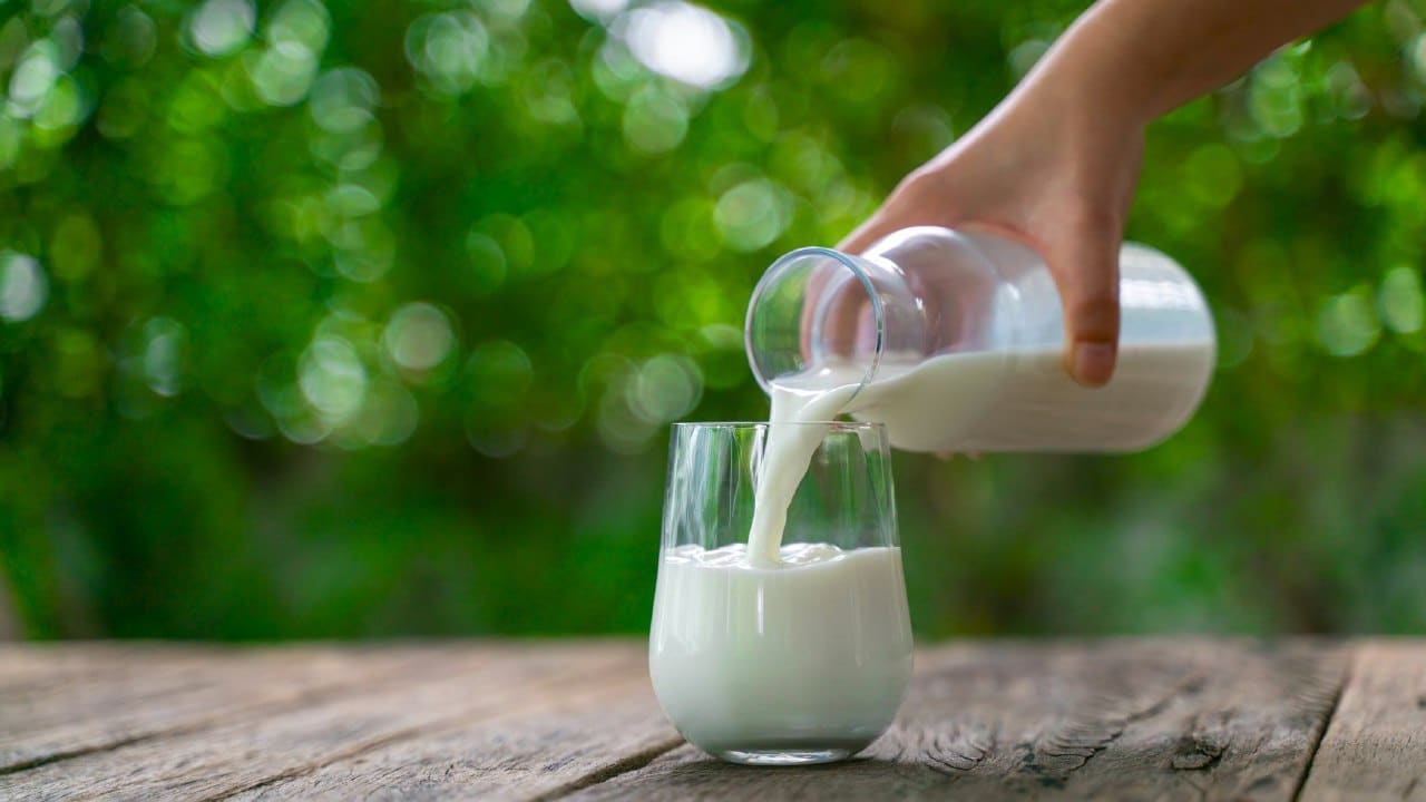 Употребление молока увеличило размеры человеческого тела