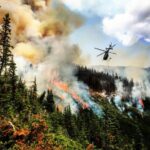 Лесные и степные пожары убивают до 20 тысяч американцев в год