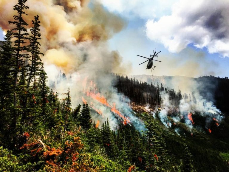 Лесные и степные пожары убивают до 20 тысяч американцев в год