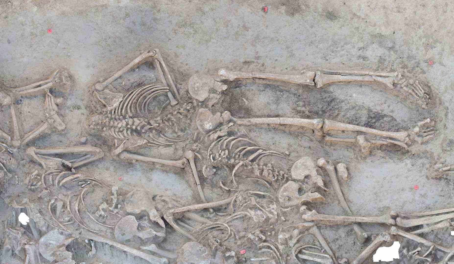 Археологи нашли неолитическое захоронение с безголовыми скелетами