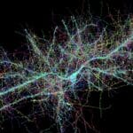 Биологи научились управлять скоростью роста нейронов