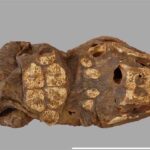 В Египте нашли гробницу с мумиями крокодилов