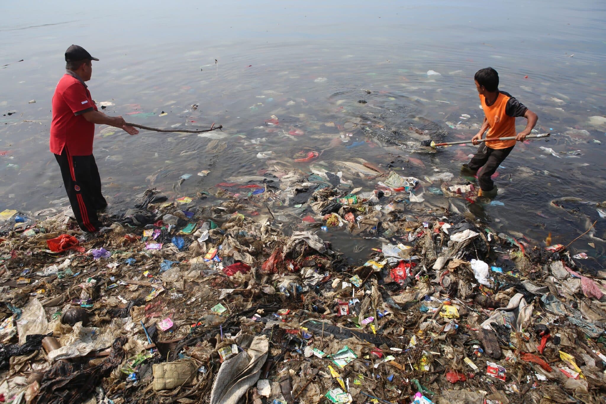 Последствия мусора в океане