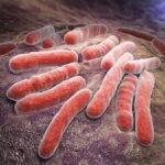 В поисках «слабого места» у туберкулезной палочки ученые исследовали ферредоксины