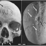 Крест на черепе средневековой женщины вызвал споры ученых