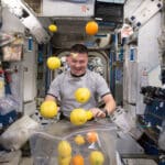 Невесомость изменила мозговые связи у космонавтов