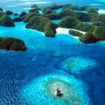 Расы и этногенез в Полинезии и Микронезии