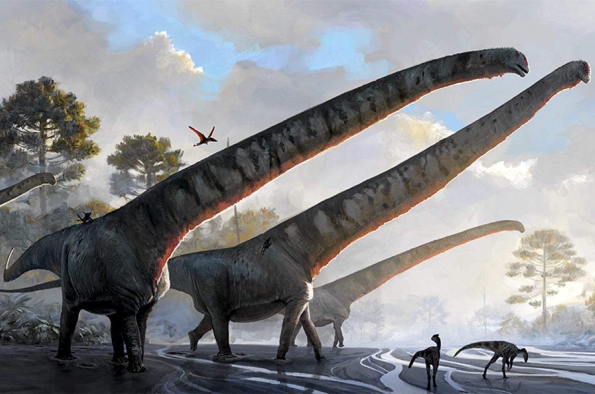 Палеонтологи выяснили, как мамэньсизавры удерживали свои рекордно длинные шеи