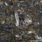 В Якутии обнаружили самый древний алмаз