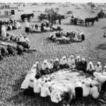 В Тюмени исследовали государственное регулирование аграрной экономики в СССР
