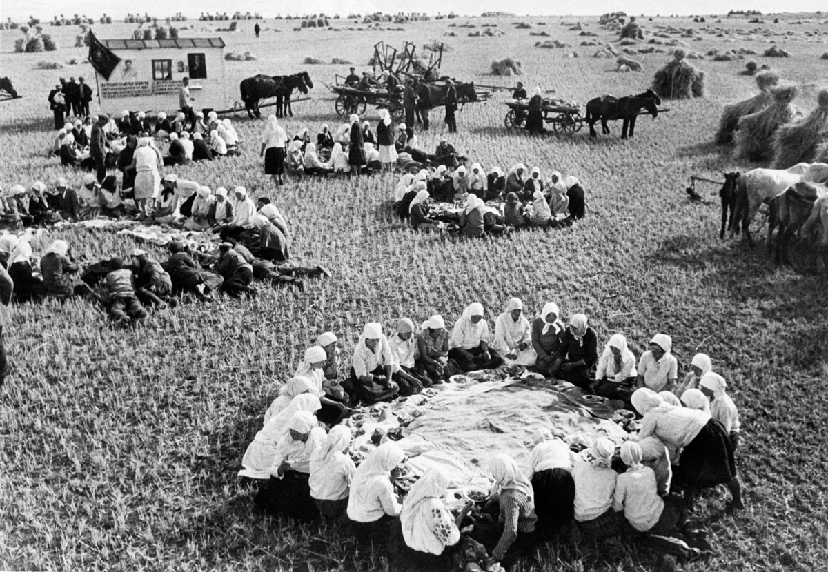 В Тюмени исследовали государственное регулирование аграрной экономики в СССР