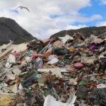 Ученые Пермского Политеха предложили новый метод утилизации отходов