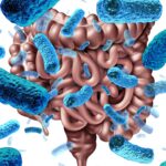 Микробиом кишечника – новый орган и ключ к бессмертию
