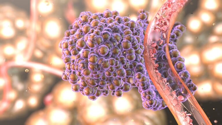 Циклические наноконтейнеры помогут преодолеть устойчивость раковых клеток к терапии